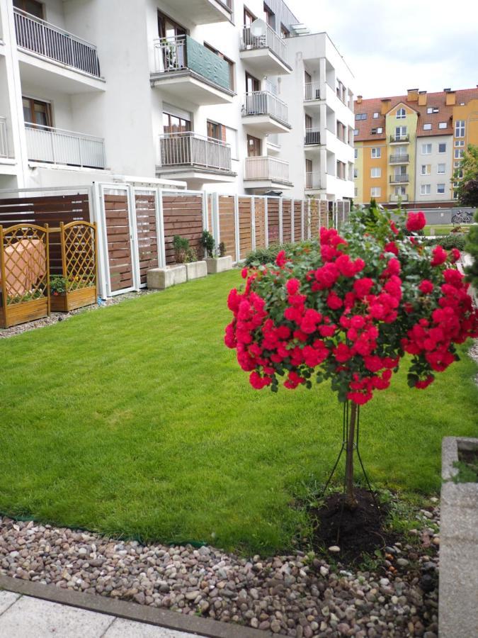 Platan Patio 2