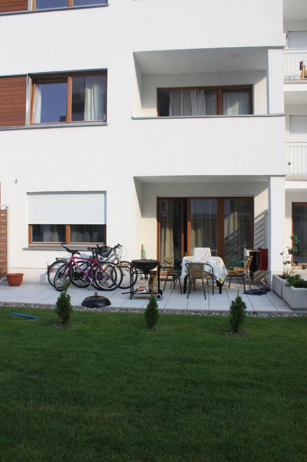 Platan Patio 2