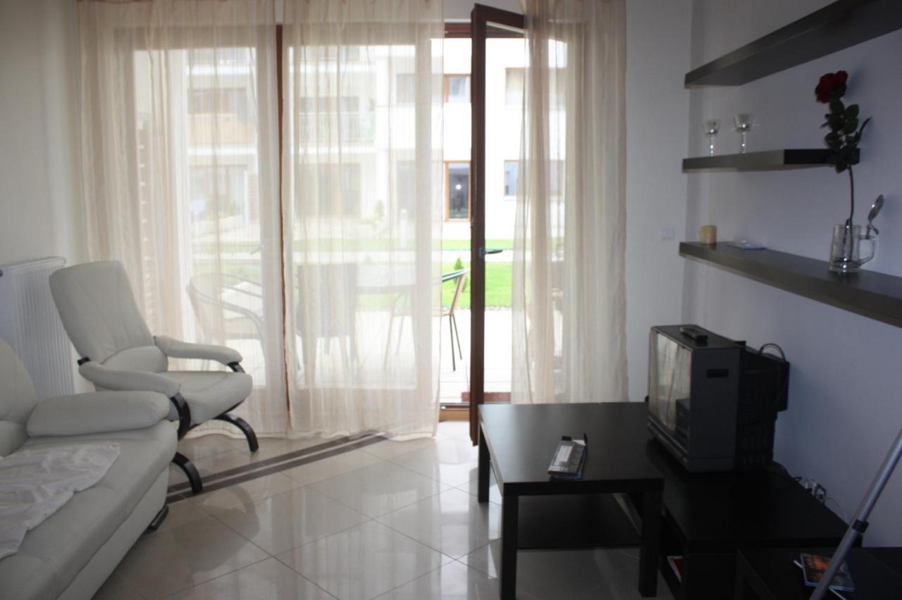 Platan Patio 2